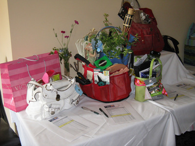 Power of the Purse